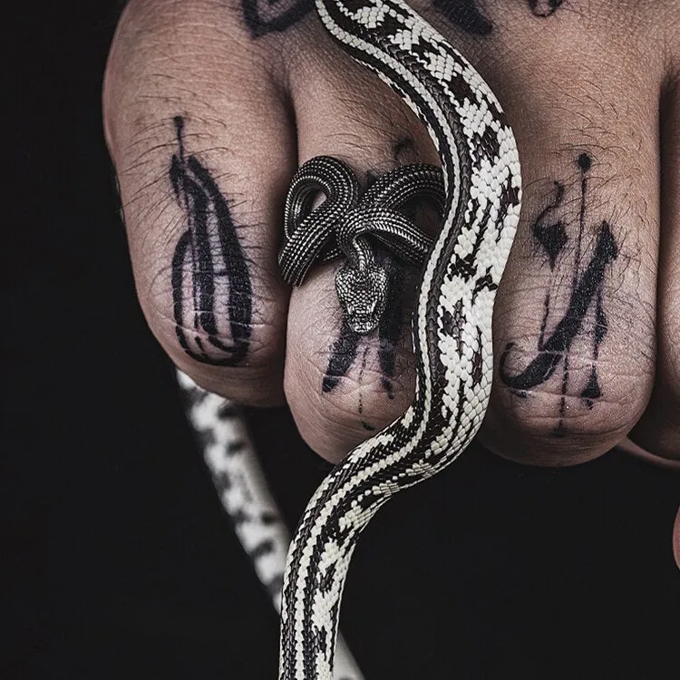 Amazing Twisted Snake Ring