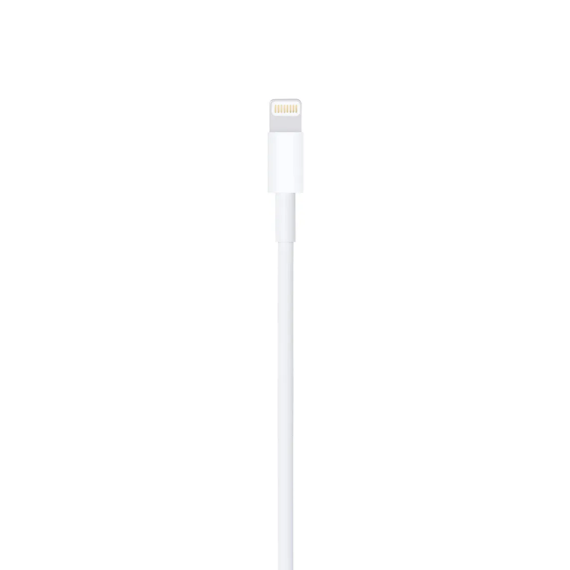 Apple iPhone Lightning to USB Cable (2m) | For All Apple Models