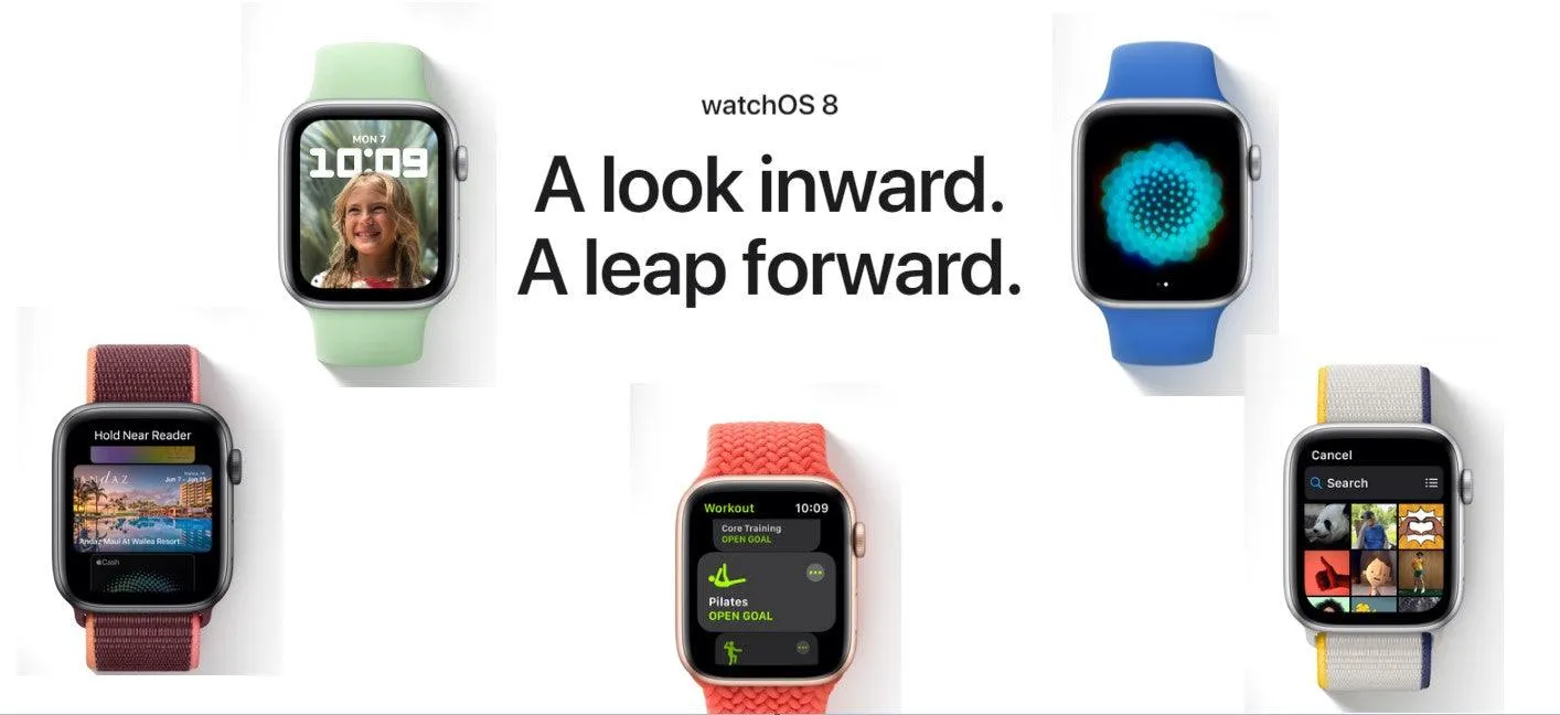 Apple Watch Series 7 (GPS   Cellular)