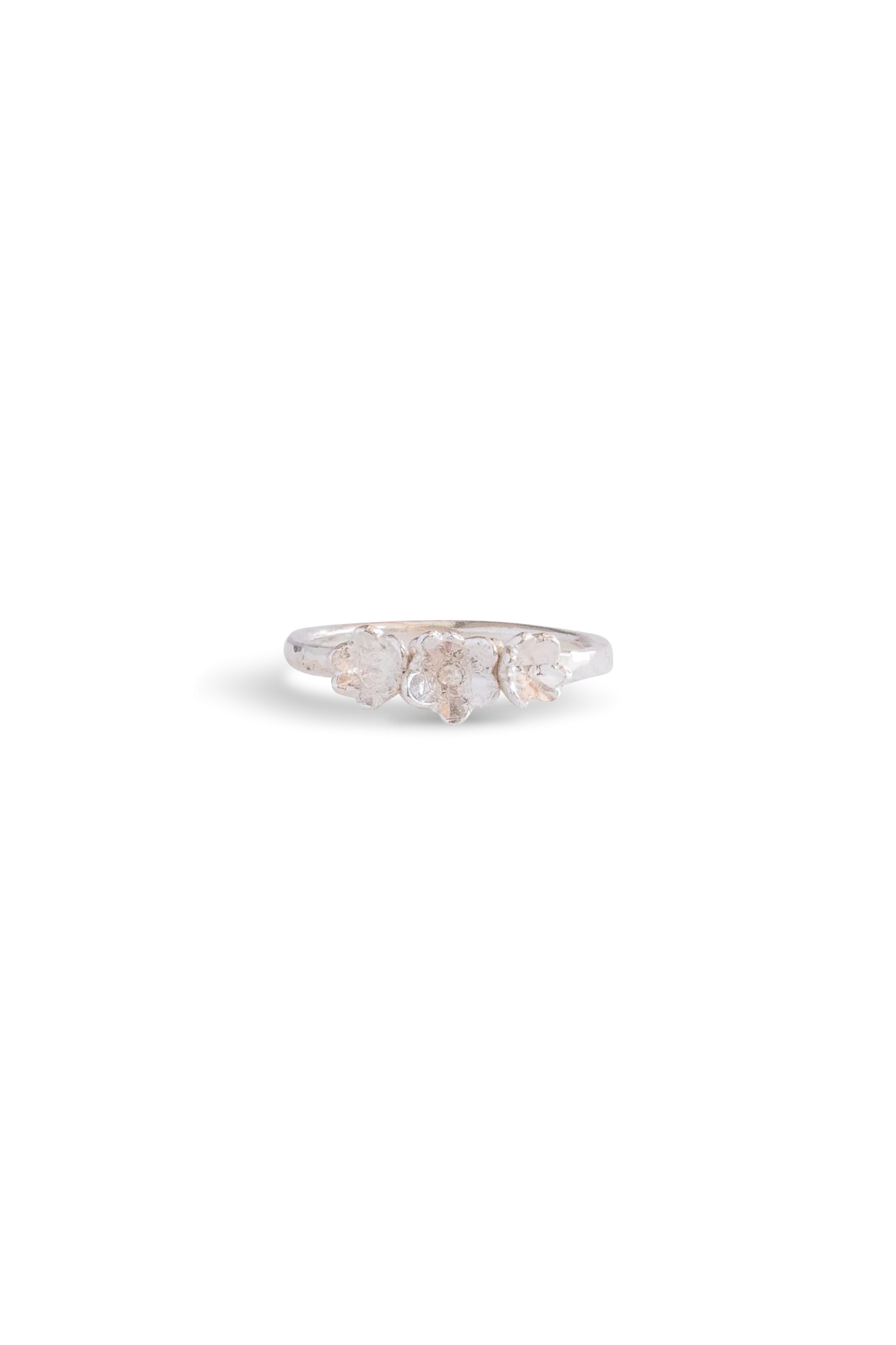Barnacle Bands ~ Straight Gold Ring