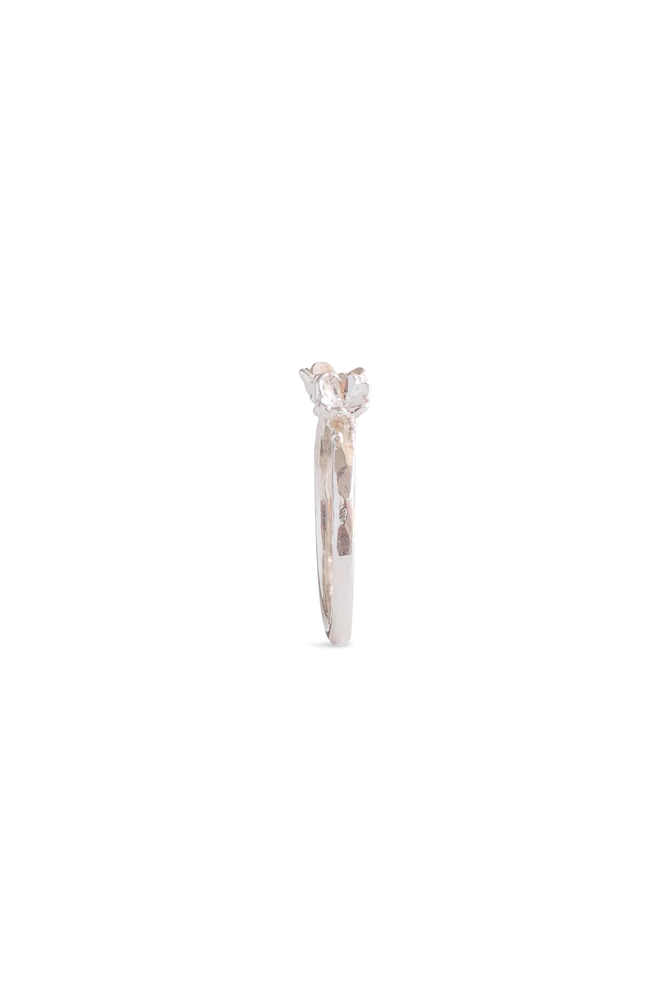 Barnacle Bands ~ Straight Gold Ring