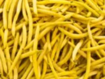 Beans - Gold Rush (Seeds)