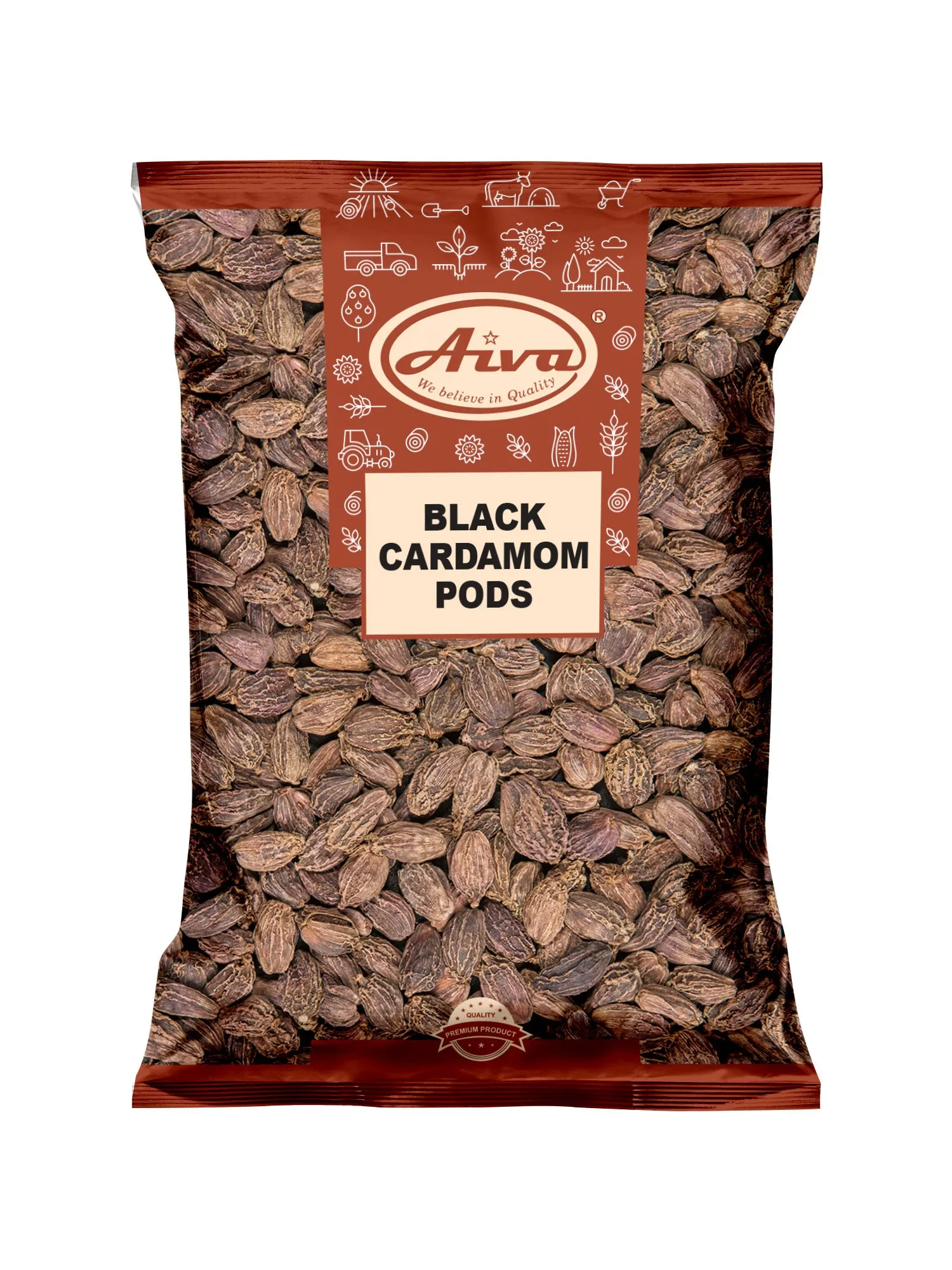 Black Cardamom Pods