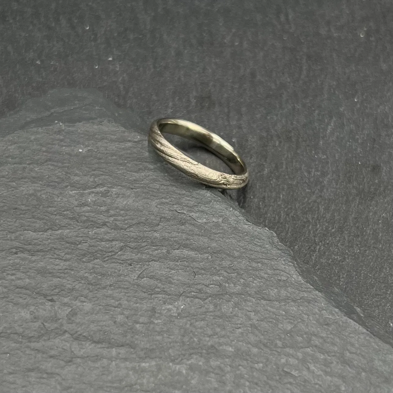Bristlecone Ring in White Gold
