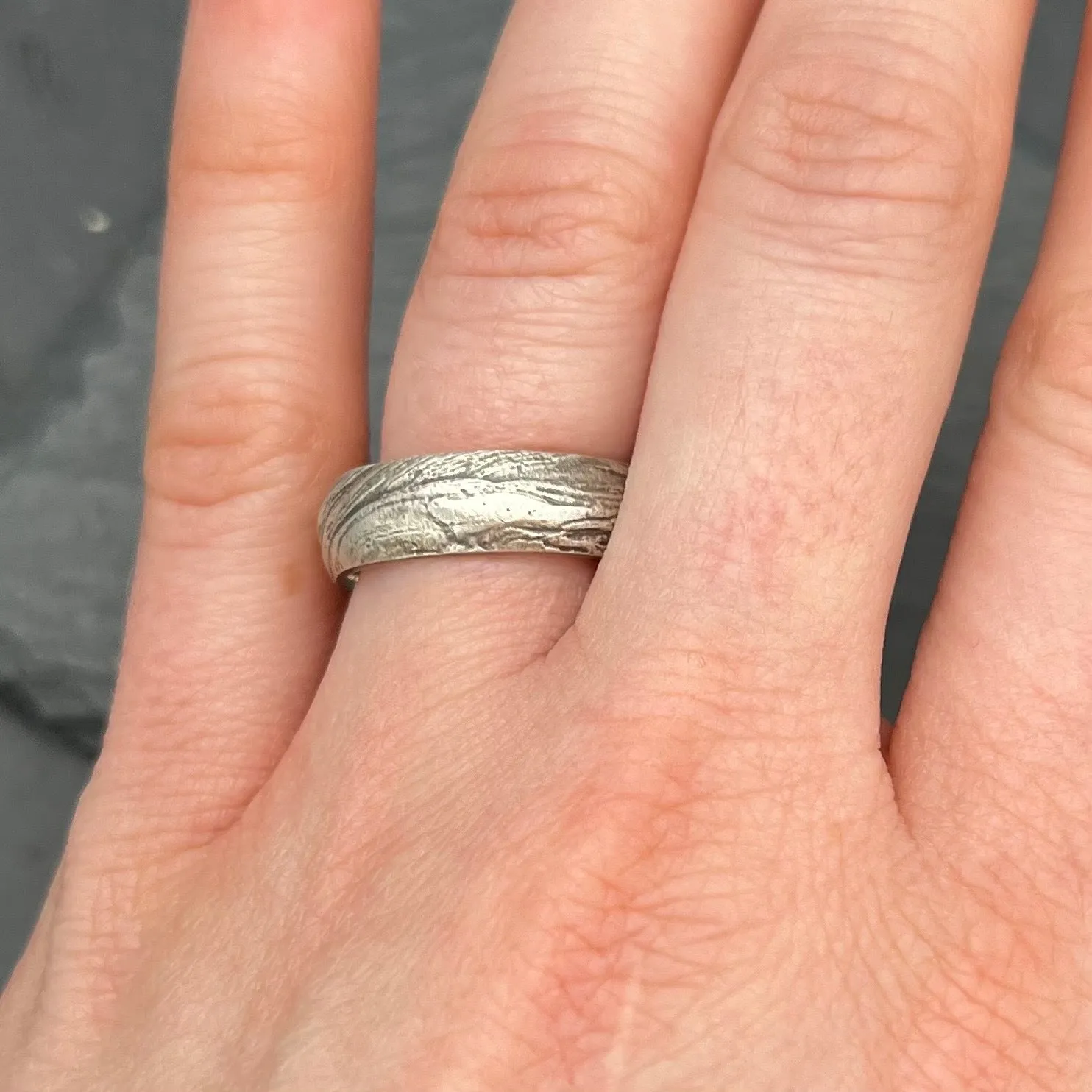 Bristlecone Ring in White Gold