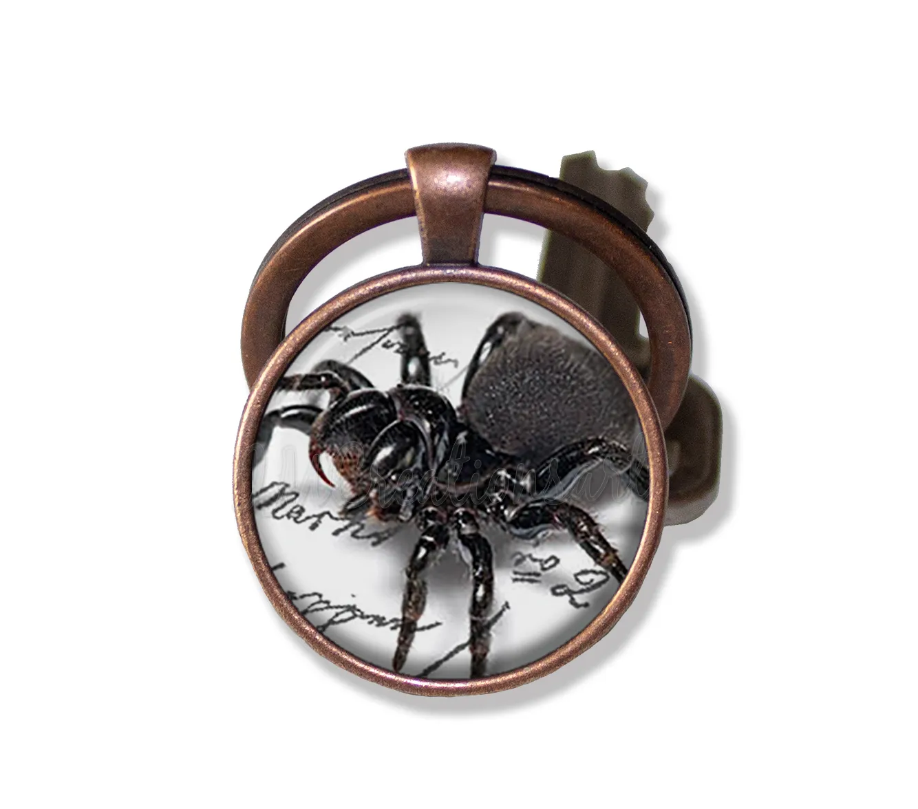 Creepy Crawler Spider