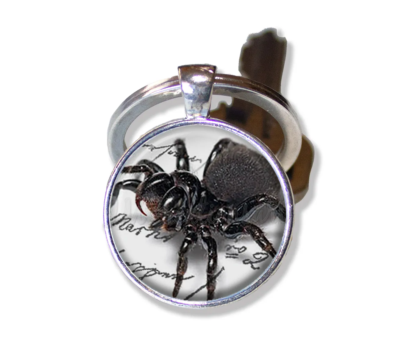 Creepy Crawler Spider