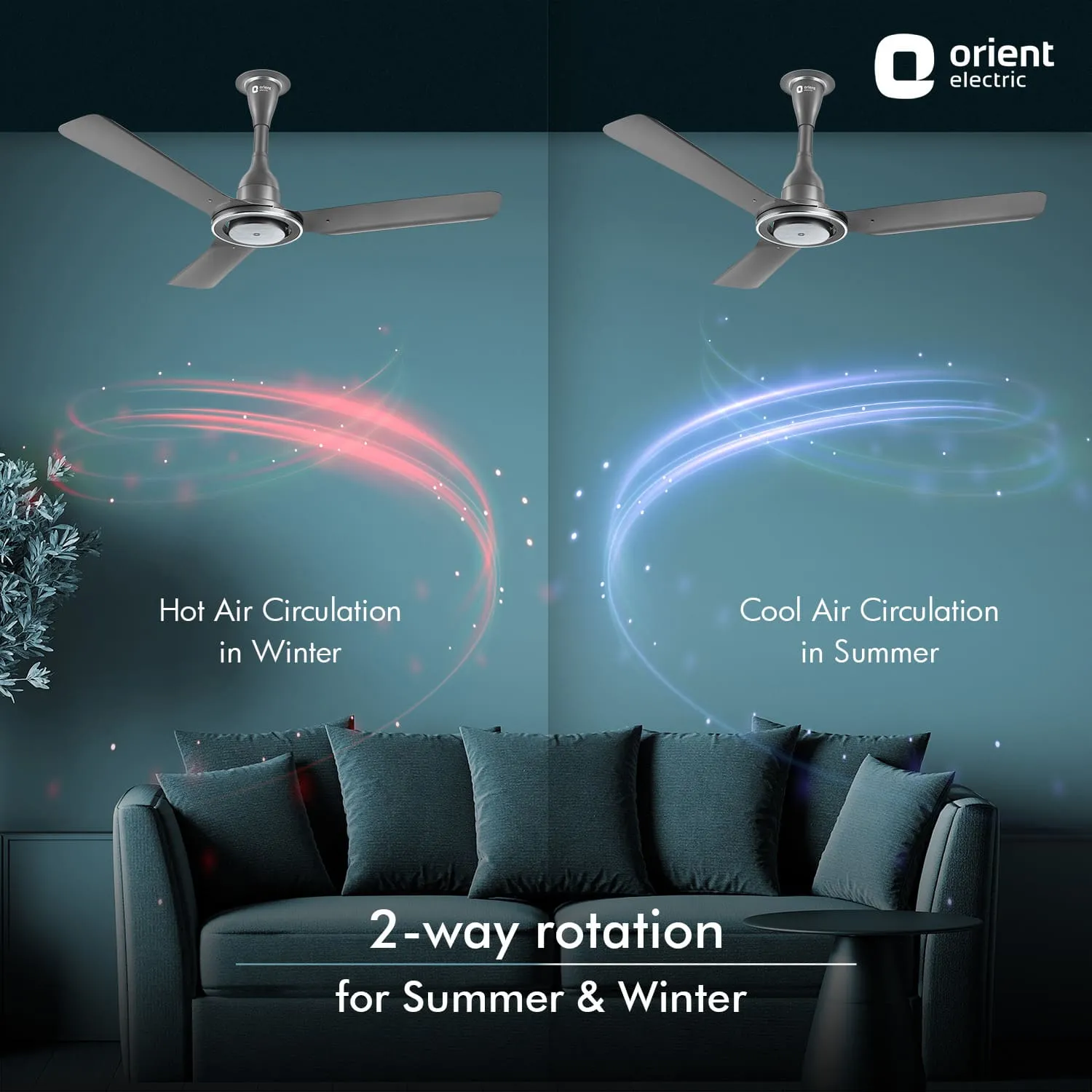 I Float IoT 5 Star Rated BLDC Ceiling Fan