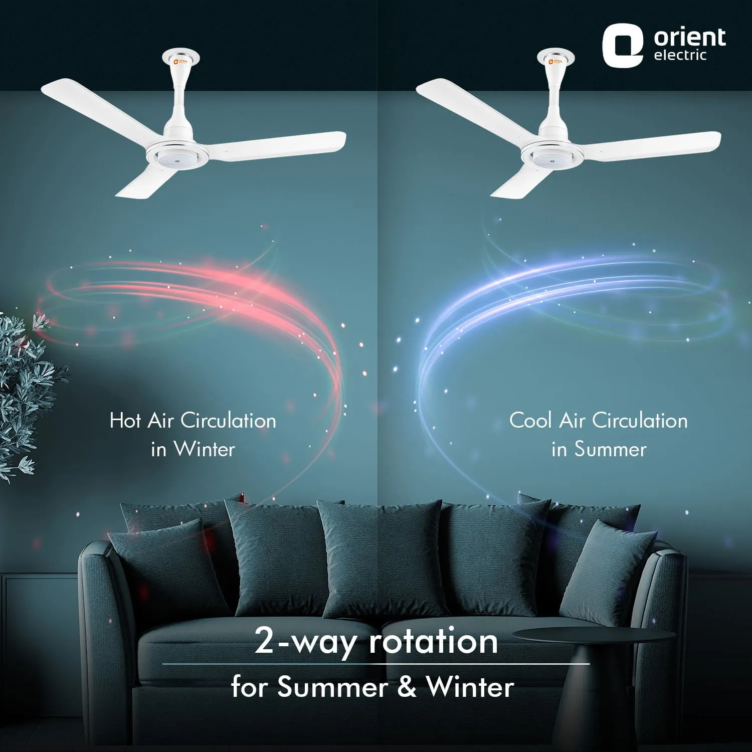I Float IoT 5 Star Rated BLDC Ceiling Fan