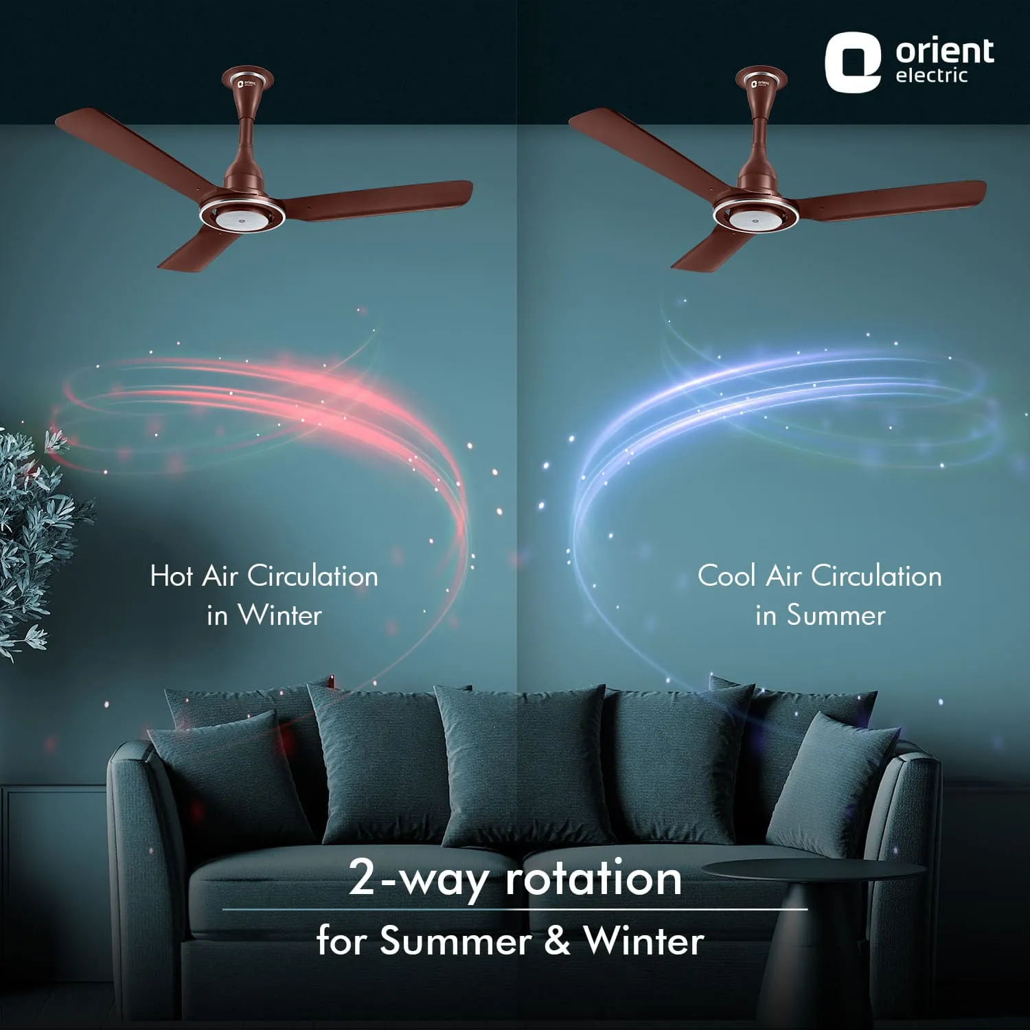 I Float IoT 5 Star Rated BLDC Ceiling Fan
