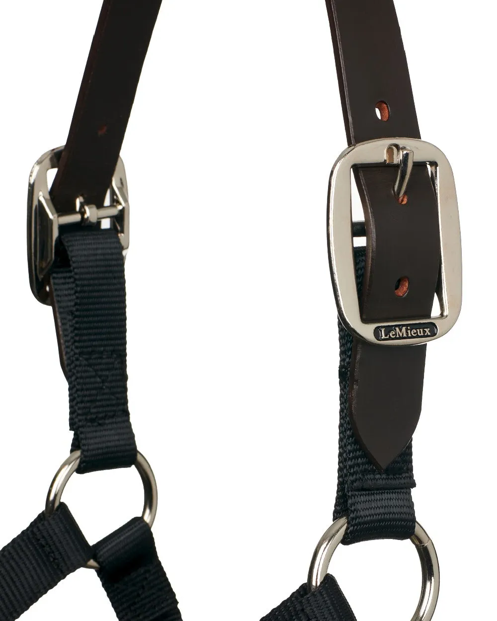LeMieux Breakaway Headcollar