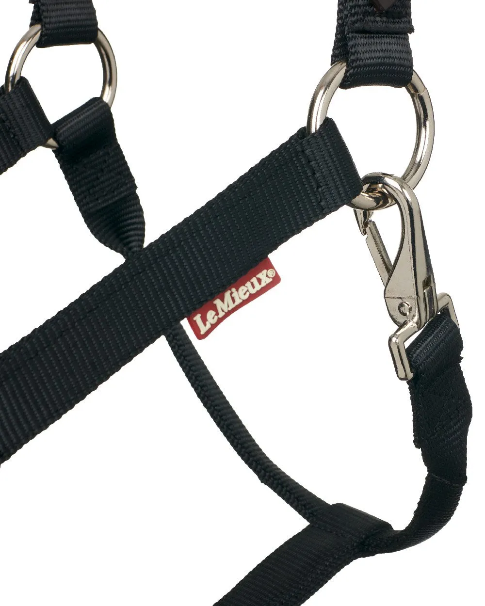 LeMieux Breakaway Headcollar