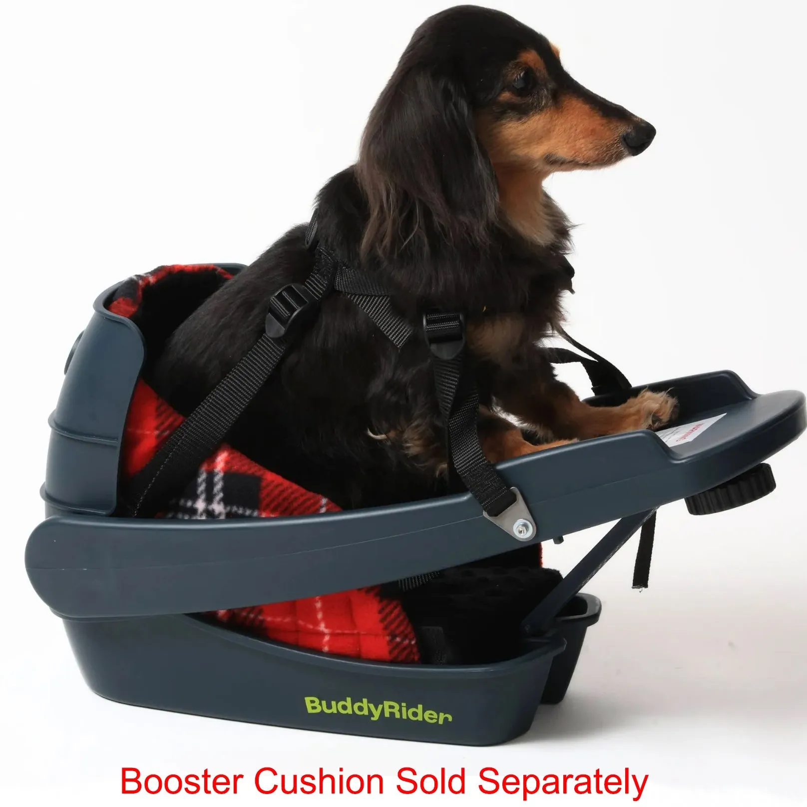 Open-Box Discounted Buddyrider® Series 2