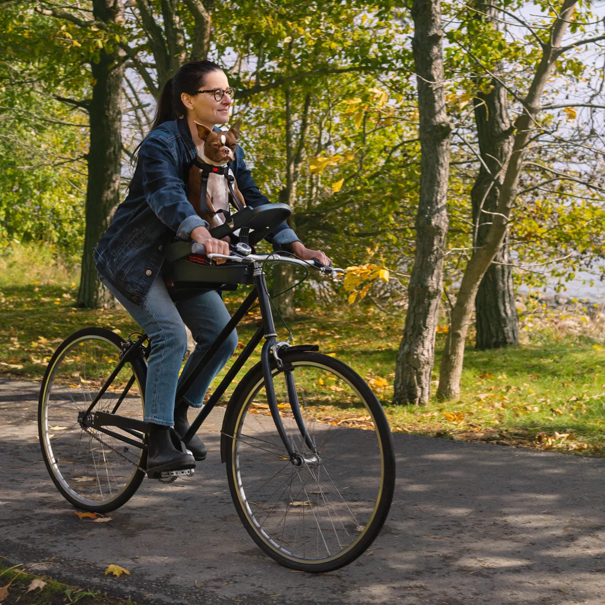 Open-Box Discounted Buddyrider® Series 2