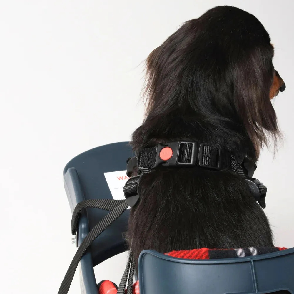Open-Box Discounted Buddyrider® Series 2
