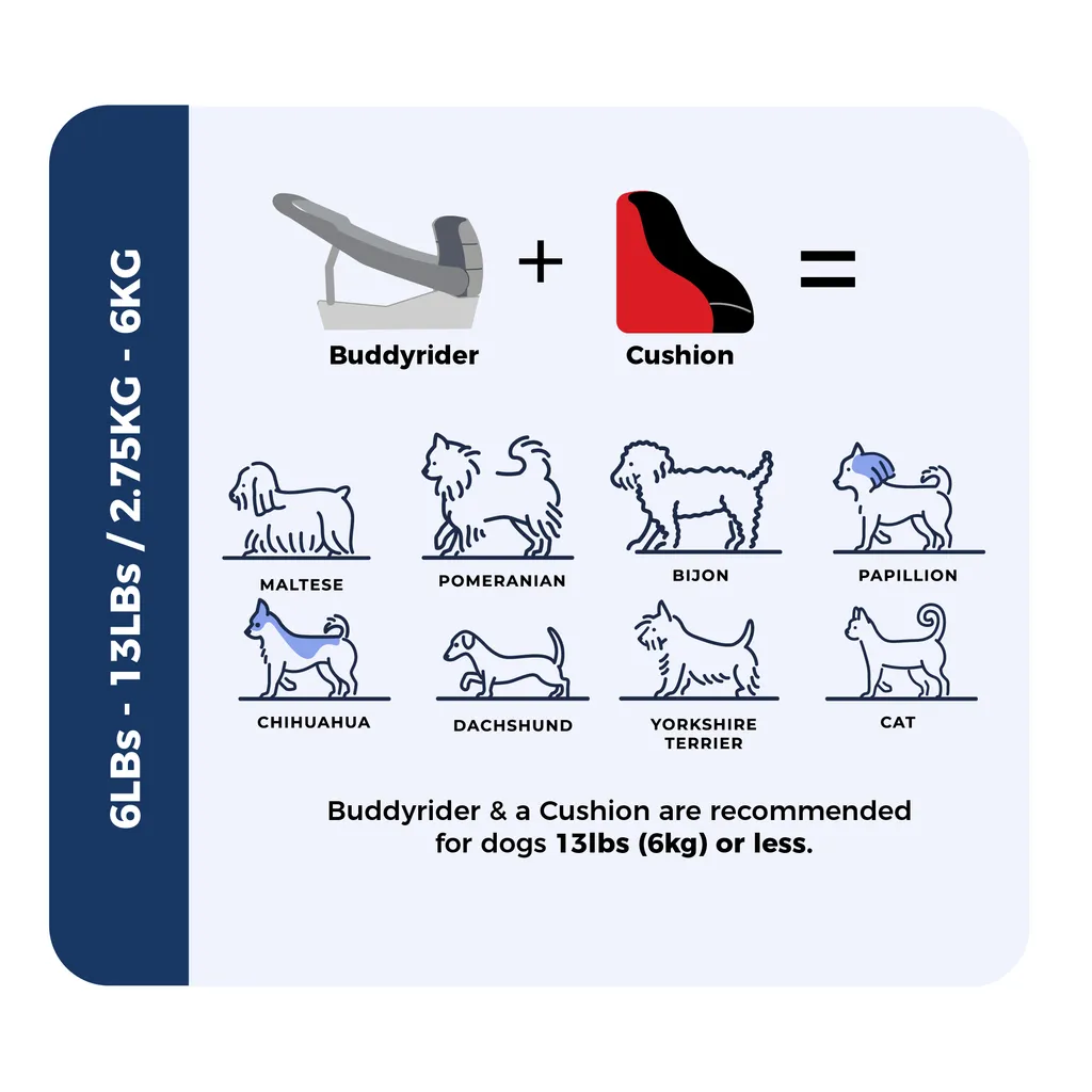 Open-Box Discounted Buddyrider® Series 2