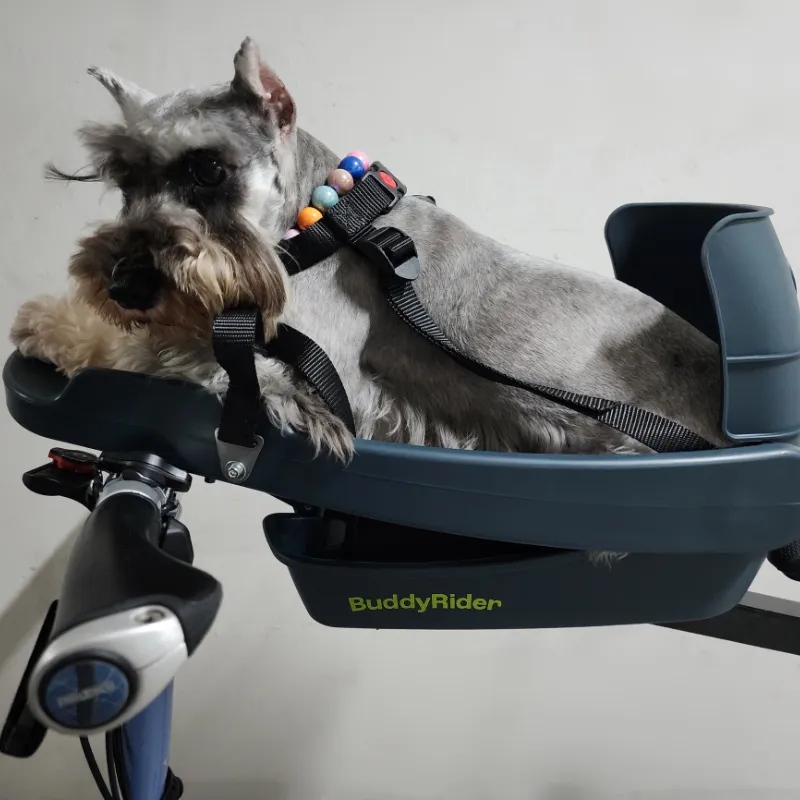 Open-Box Discounted Buddyrider® Series 2