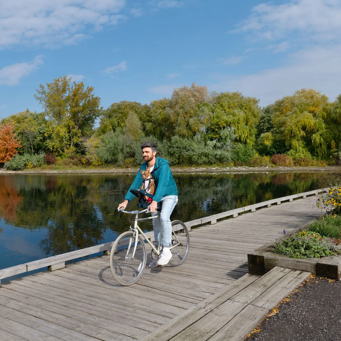Open-Box Discounted Buddyrider® Series 2