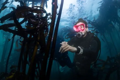 SUUNTO - Ocean