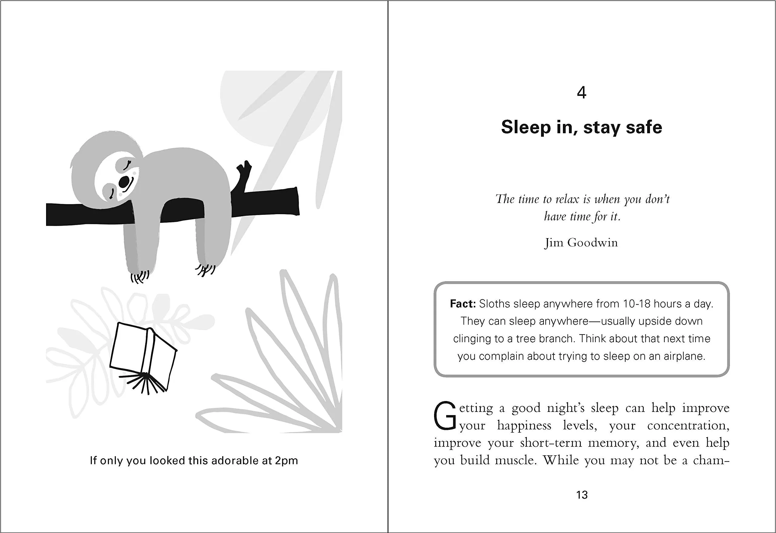 The Little Book of Sloth Philosophy: How to live your best sloth life
