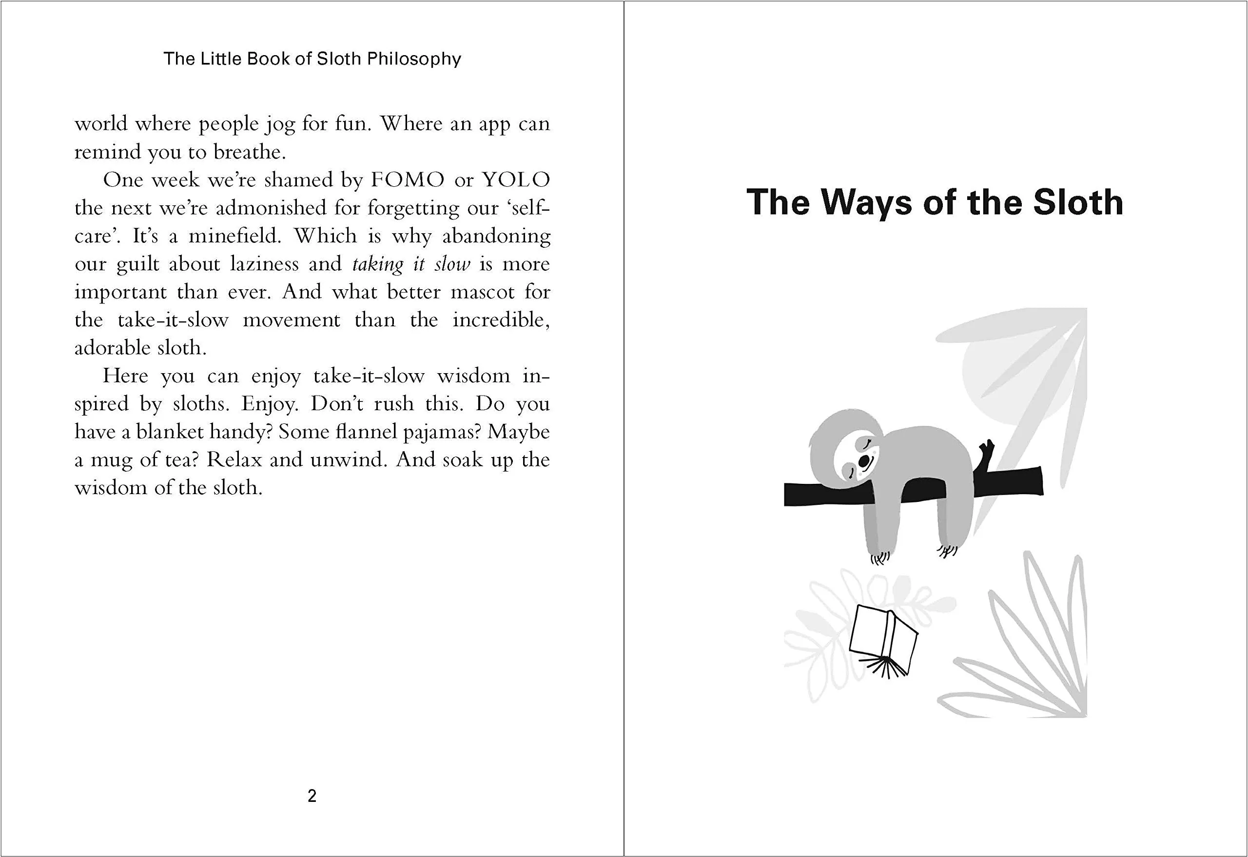 The Little Book of Sloth Philosophy: How to live your best sloth life