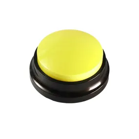 Voice Recording Button